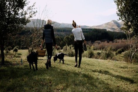 Photo of property in 101 Laidmore Road, Broomfield, 7482