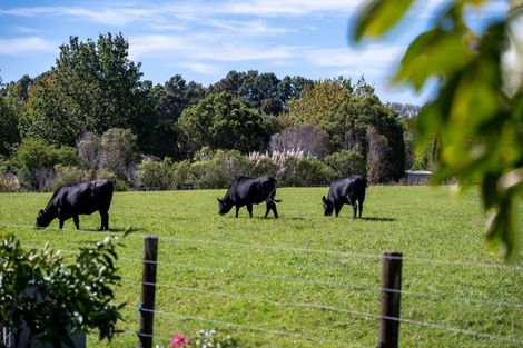 Photo of property in 20 Kennedy Road, Dairy Flat, Albany, 0792