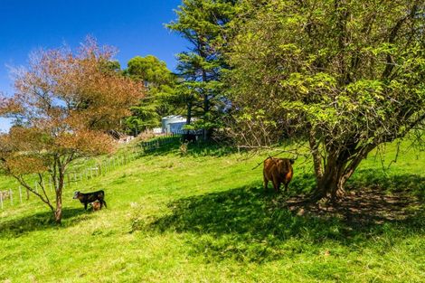 Photo of property in 573a Whakapirau Road, Maraekakaho, Hastings, 4174