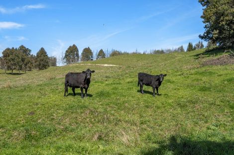 Photo of property in 370 Rosedale Road, Upper Moutere, 7175