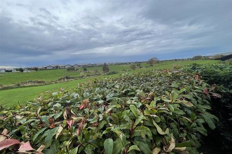 Photo of property in 10 Wiersma Lane, Wigram, Christchurch, 8025