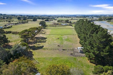 Photo of property in 273 Parewanui Road, Bulls, 4894
