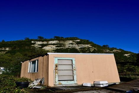 Photo of property in 47 Glasseye Drive, Little Wanganui, Karamea, 7893