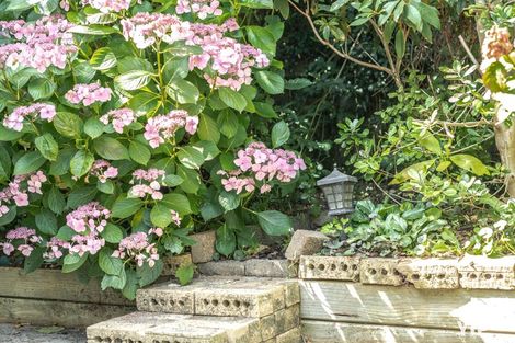 Photo of property in 2a Rudyard Crescent, Johnsonville, Wellington, 6037