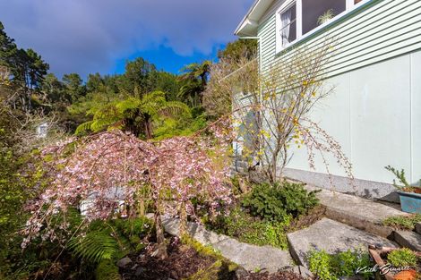 Photo of property in 36 Wyndham Road, Pinehaven, Upper Hutt, 5019