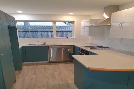 Photo of property in 100a Charles Street, Waltham, Christchurch, 8011