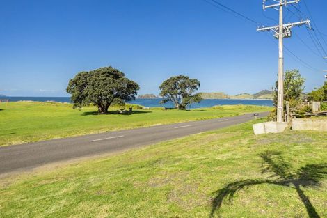 Photo of property in 876 Black Jack Road, Opito Bay, Whitianga, 3592
