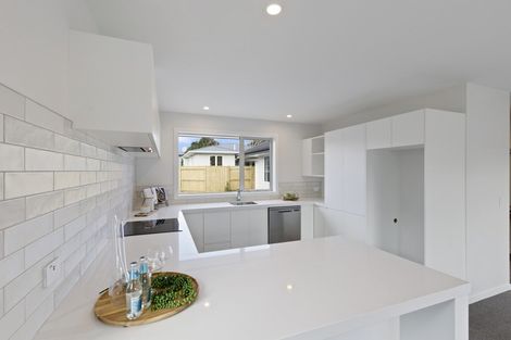 Photo of property in 84a Manawatu Street, Hokowhitu, Palmerston North, 4410