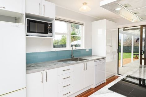 Photo of property in 46 Leicester Street, Terrace End, Palmerston North, 4410