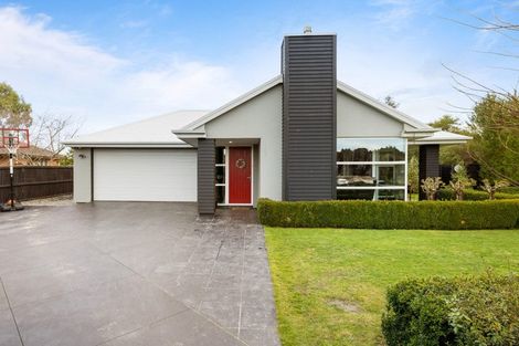 Photo of property in 8 Nautilus Place, Spencerville, Christchurch, 8083