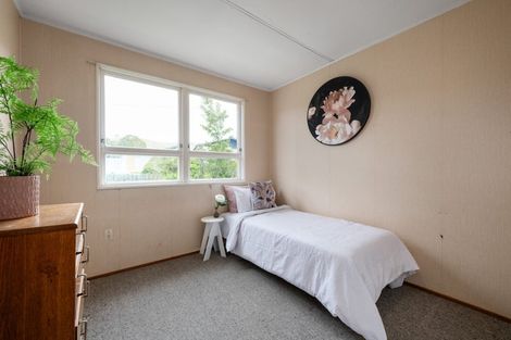 Photo of property in 31 Mckenzie Street, Witherlea, Blenheim, 7201