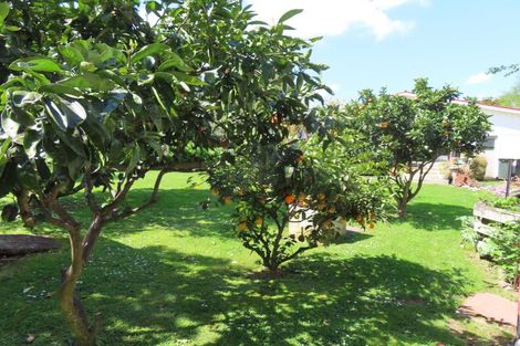 Photo of property in 3 Gladstone Street, Woodville, 4920