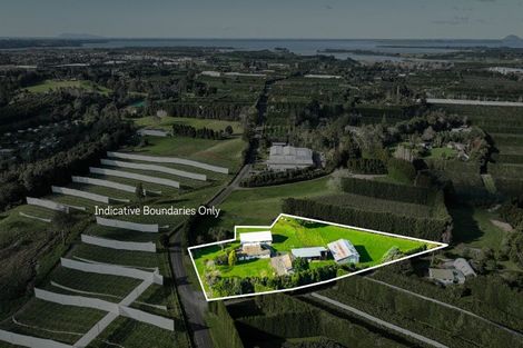 Photo of property in 179b Rea Road, Tahawai, Katikati, 3178