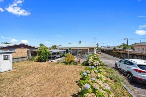 Photo of property in 38 Waikato Esplanade, Ngaruawahia, 3720