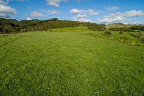 Photo of property in 127 Wilson Road, Hunua, Papakura, 2583