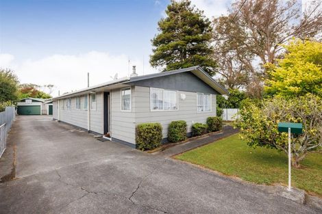 Photo of property in 19 Alexandra Street, Marton, 4710