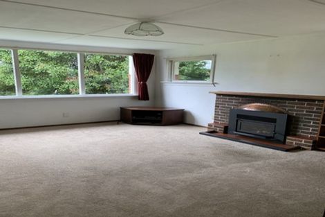 Photo of property in 144 Huntly Road, Outram, 9073