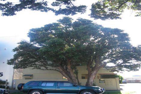 Photo of property in 1/7 Raroa Road, Hutt Central, Lower Hutt, 5010