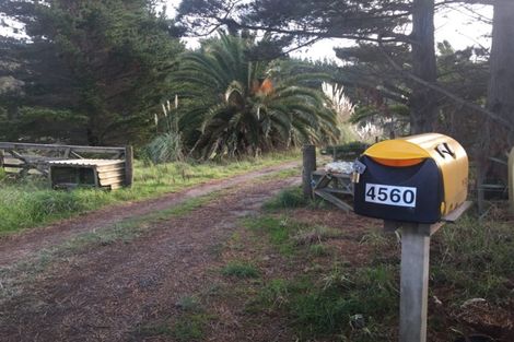 Photo of property in 4560 Pouto Road, Pouto, Te Kopuru, 0391