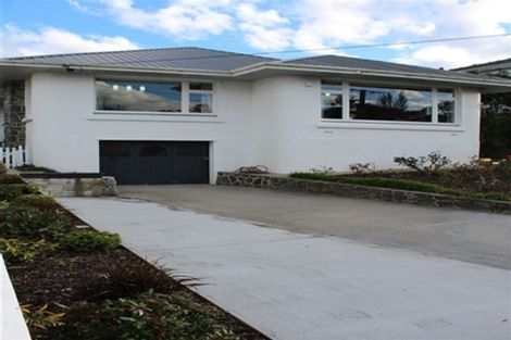 Photo of property in 131 Eglinton Road, Mornington, Dunedin, 9011