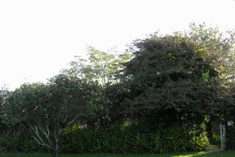 Photo of property in 4 Kowhai Street, Whakatane, 3120