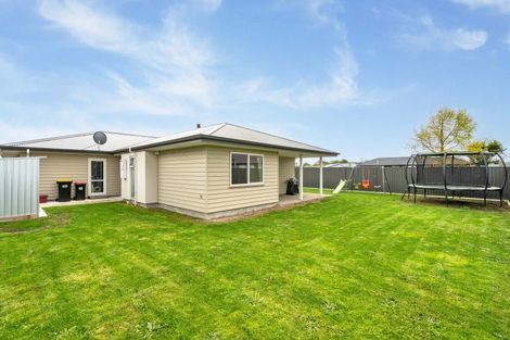 Photo of property in 48 Tuatahi Avenue, Solway, Masterton, 5810