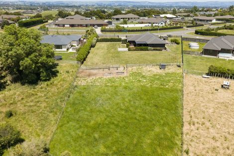 Photo of property in 115 Mount Taylor Drive, Feilding, 4775