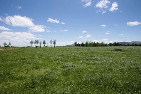 Photo of property in 470 Strange Road, Otway, Te Aroha, 3392