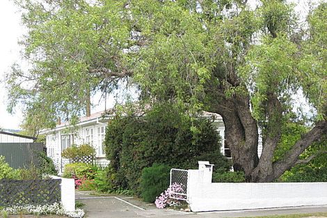 Photo of property in 3 New Renwick Road, Redwoodtown, Blenheim, 7201