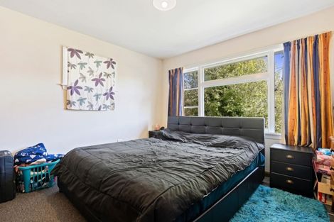 Photo of property in 143 Olliviers Road, Phillipstown, Christchurch, 8011