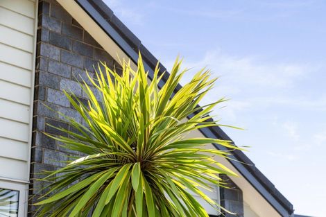 Photo of property in 42 Double Bay Road, Pyes Pa, Tauranga, 3112