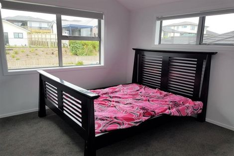 Photo of property in 105 John Burke Drive, Aotea, Porirua, 5024