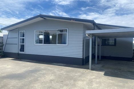 Photo of property in 61 Te Aute Road, Havelock North, 4130