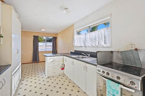 Photo of property in 39 Daytona Road, Henderson, Auckland, 0610