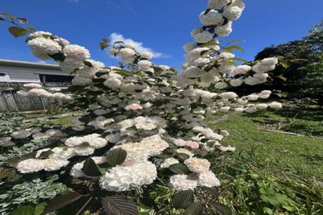 Photo of property in 9 Nimmo Avenue West, Waikanae, 5036