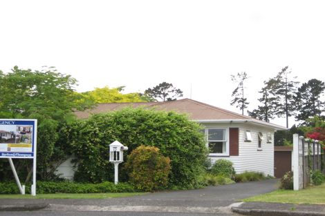 Photo of property in 12 Grierson Place, Pukekohe, 2120
