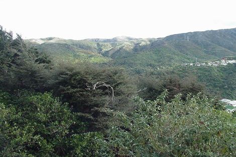 Photo of property in 168 Cecil Road, Wilton, Wellington, 6012