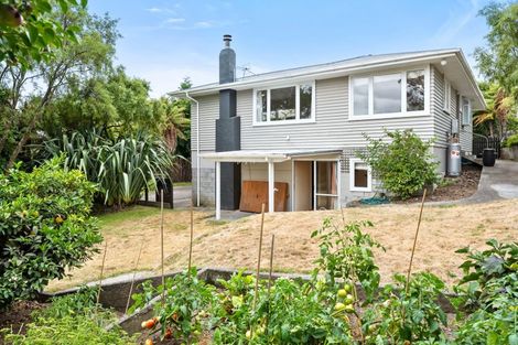 Photo of property in 11b Puriri Street, Hilltop, Taupo, 3330