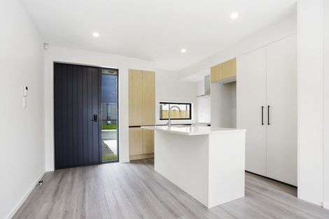 Photo of property in 14 Clay Works Lane, New Lynn, 0600