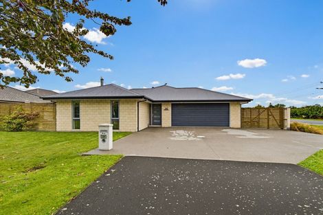 Photo of property in 29 Bridge Street, Southbridge, 7602