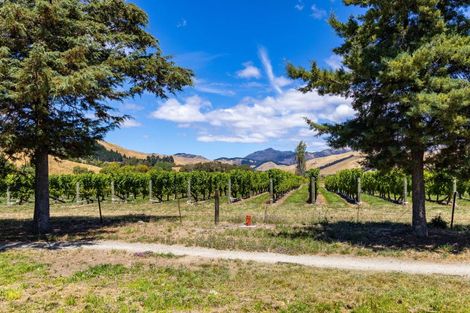 Photo of property in 126 Turnbull Drive, Witherlea, Blenheim, 7201