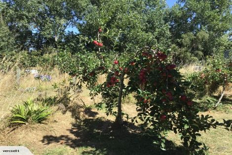 Photo of property in 657 Domett Road, Domett, Cheviot, 7382