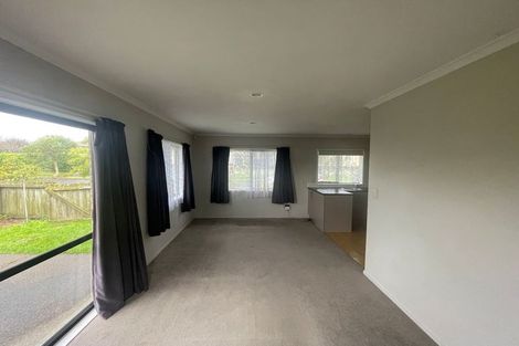 Photo of property in 3 Andrusha Place, Flat Bush, Auckland, 2019