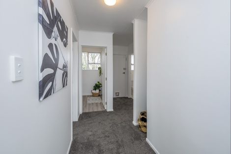 Photo of property in 42 Hinemoa Street, Levin, 5510