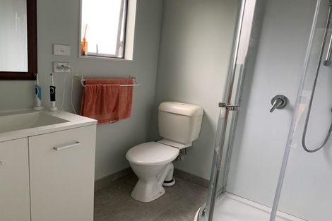 Photo of property in 28 Hillcrest Avenue, Hillcrest, Auckland, 0627