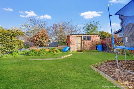 Photo of property in 48 Hamilton Street, East Gore, Gore, 9710