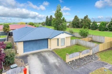 Photo of property in 45 Catalina Drive, Melville, Hamilton, 3206