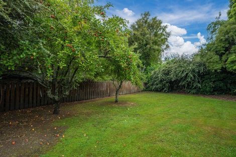 Photo of property in 34 Tongariro Road, Turangi, 3334