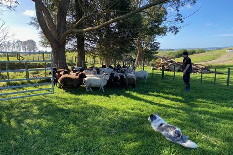 Photo of property in 1302 Pongakawa Bush Road, Pongakawa, Te Puke, 3186