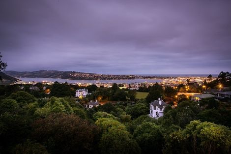 Photo of property in 28 Tweed Street, Roslyn, Dunedin, 9010